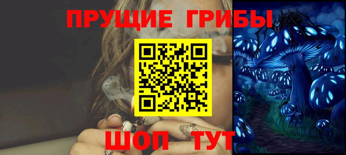Галлюциногенные грибы Psilocybine cubensis  Вход с VPN  Назрань 